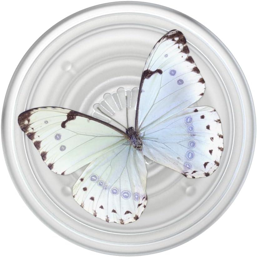 imagePopSockets Phone Grip with Expanding Kickstand Adhesive Grip Strawberry PickingWhisper Moth Translucent