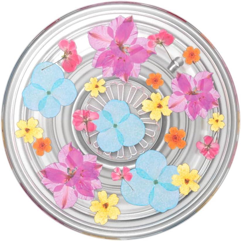 imagePopSockets Translucent Phone Grip with Expanding Kickstand PopSockets for Phone Translucent PopGrip  Black DiscoDelicate Floral