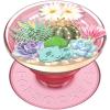 Terrarium
