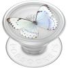 Whisper Moth