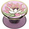Water Lily