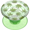Mary Jane