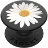 White Daisy