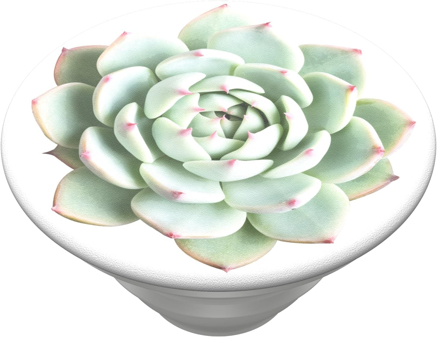 image:imagePopSockets Phone Grip with Expanding Kickstand Adhesive Grip Waikiki DazeYou Succulent