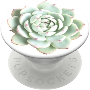 ​​​​PopSockets Phone Grip with Expanding Kickstand, Adhesive Grip – Waikiki Daze(You Succulent)